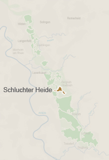 Schluchter Heide