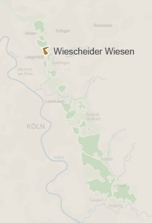 Wiescheider Wiesen