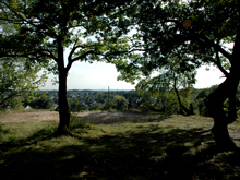 Leichlinger Sandberge